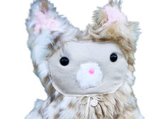 Load image into Gallery viewer, Pixie