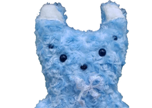 Load image into Gallery viewer, Bloo
